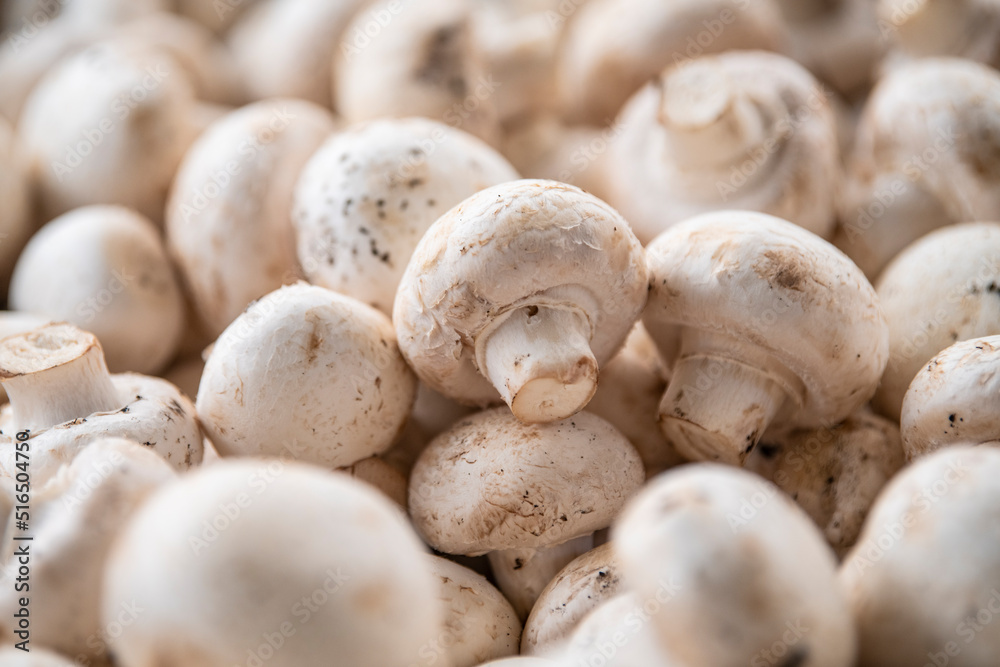 Pile of fresh harvested organic white champignons at street market. Popular commercially cultivated edible mushrooms. Pile of fresh harvested organic white champignons at street market. Popular commercially cultivated edible mushrooms.