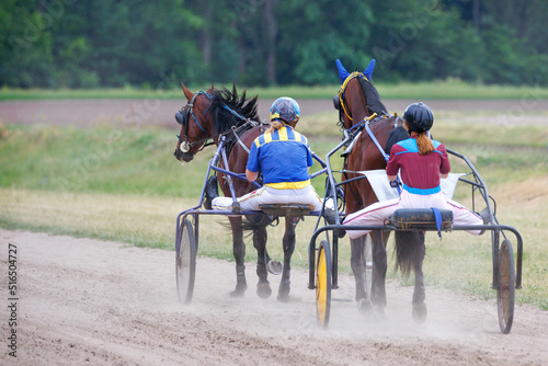 Tablou canvas Women jockeys walk their horses on chariots on a summer day.