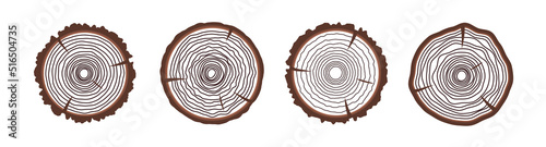 Saw cut tree trunk isolated on white background. Vector illustration 10 eps