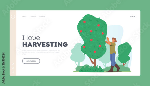 Harvesting Landing Page Template. Man Farmer Character Pick Ripe Apple Fruits from Green Tree in Country Garden