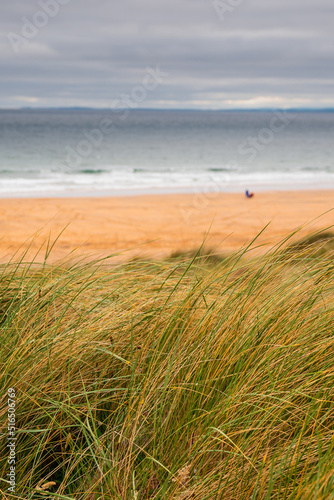 Tall grass grows on sandy dune by the ocean. Cloudy sky. Nature landscape. Calm and peaceful mood. West of Ireland.