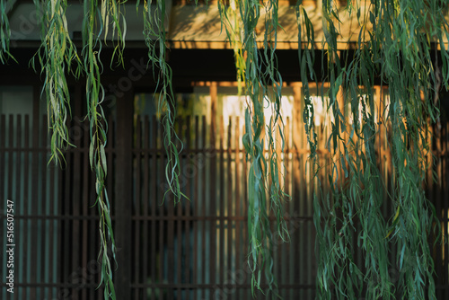 夕日の日本の風景