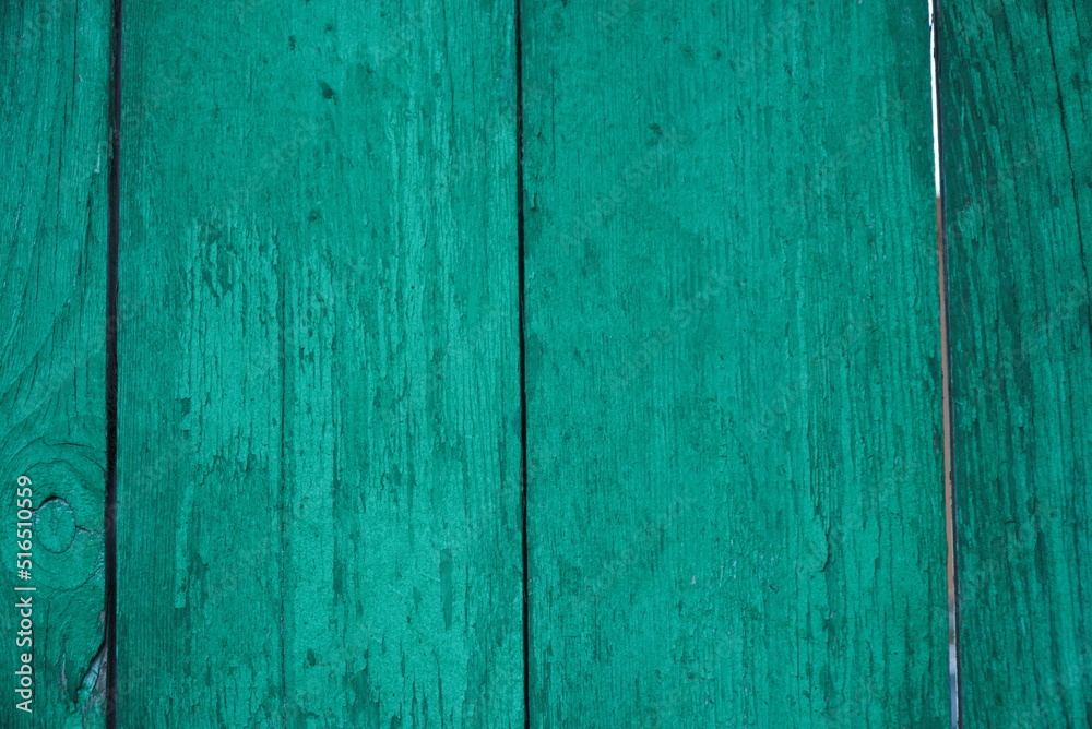 Texture of an old fence made of wooden boards painted green color, close-up