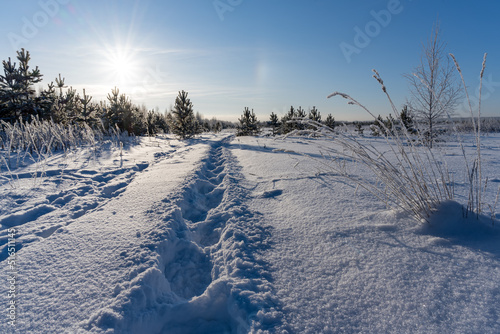 Frosty sunny morning away from the city in winter. Russia, Ural. High drifts of pure snow with a path