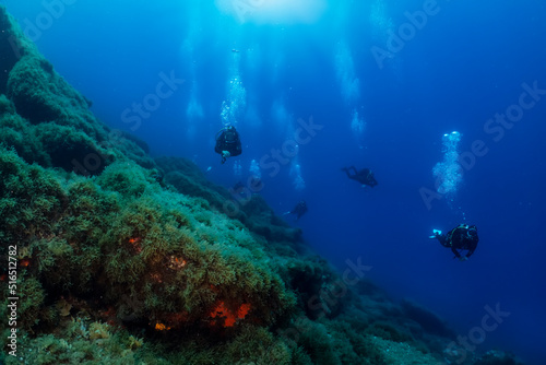 A group of unrecognizable scuba divers explores a reef in the Aegean Sea in Greece