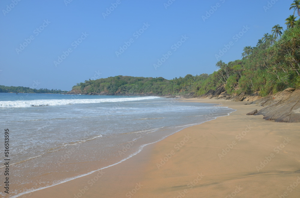 Paradise tropical beach with ocean, sand and palm trees.