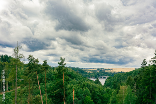view over a coniferous forest with cloudy skies