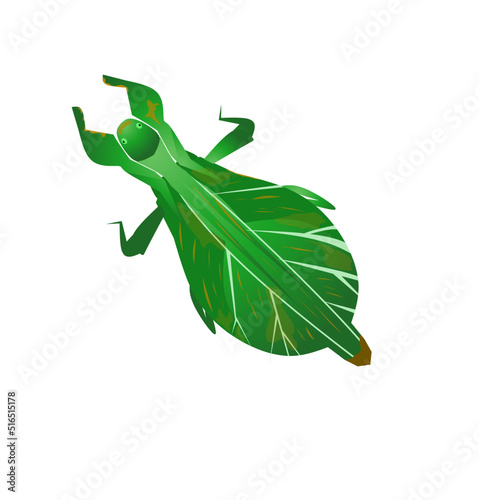 Leaf insect flat icon on white transparent background. You can be used leaf insect icon for several purposes.,vector