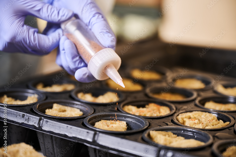 Close up of female hands in garden rubber gloves using seed sowing tool while planting seeds in