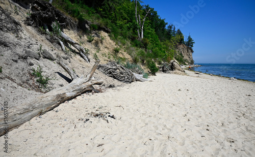 Natural, calm, sandy beach with dried tree trunk in Gdynia-Orłowo, in background famous Orlowo cliff called also Eagle's head, Baltic Sea, Tri-City metropolitan area, Pomerania, Poland, Europe