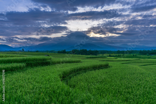 beautiful sunrise at rice fields in kemumu  bengkulu  indonesia