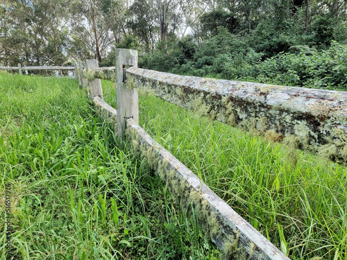 Decaying and lichen covered fence in the Australian bush