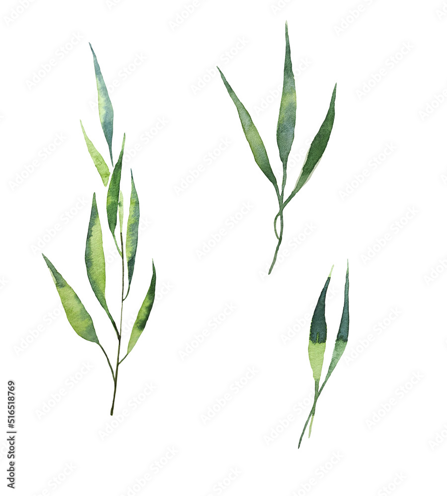 Obraz premium Tropical Leaf Set. Jungle botanical watercolor illustrations, palm leaves, palm branches, tropical