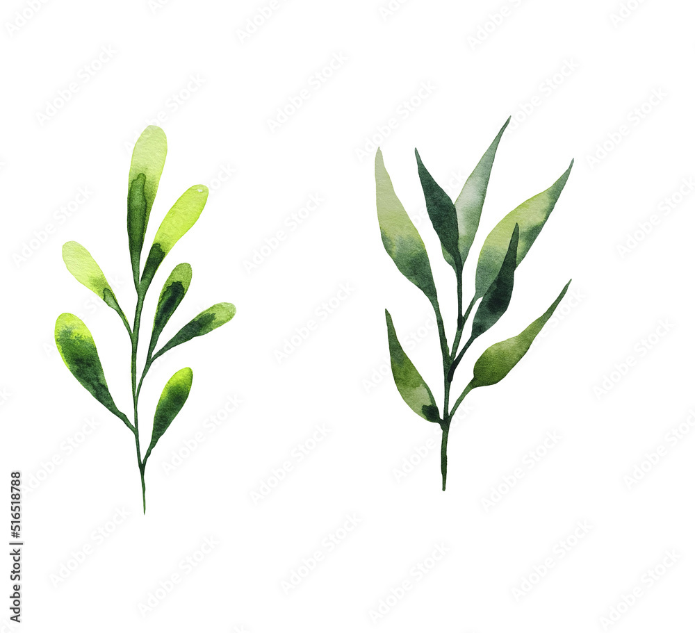Obraz premium Set of watercolor floral illustrations - collection of green leaves, branches,young leaves for wedding stationery, greetings, wallpaper, fashion, background. 