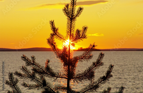 Evening on the polar lake photo