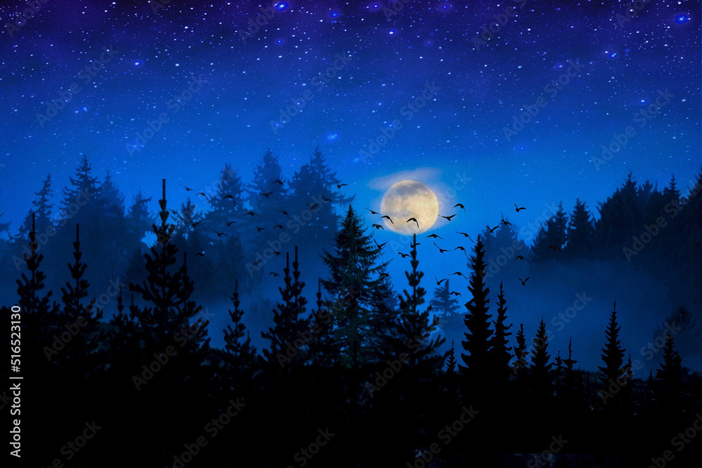 Naklejka premium Paisaje de un bosque nocturno con luna llena