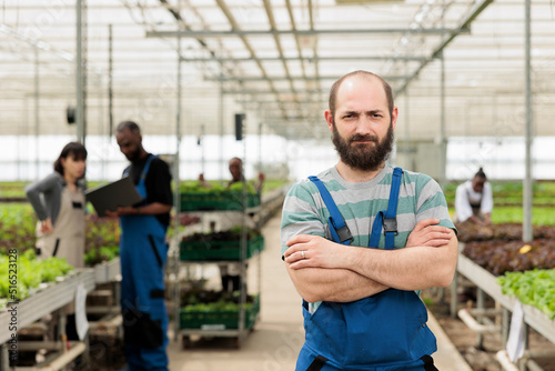 Portrait of confident man working in greenhouse while agricultural engineers are using laptop to determine growth rates. Caucasian man standing in hydroponics microgreens plantation.