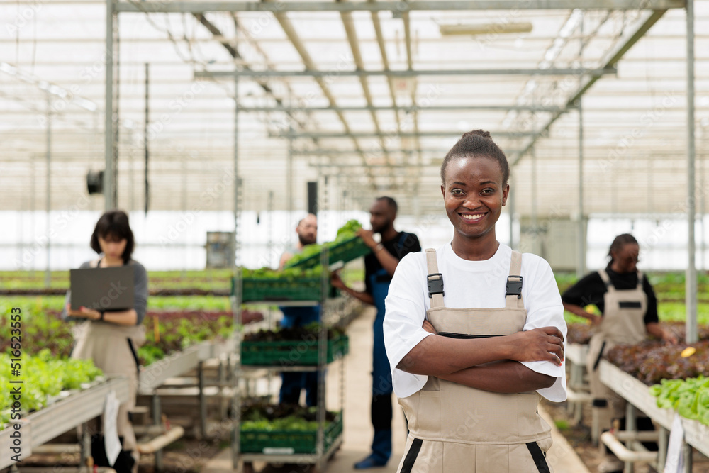 Portrait of smiling african american worker in greenhouse with hydroponics enviroment with agricultural engineers using laptop computer. Woman posing happy in organic crops and vegetables farm. Portrait of smiling african american worker in greenhouse with hydroponics enviroment with agricultural engineers using laptop computer. Woman posing happy in organic crops and vegetables farm.