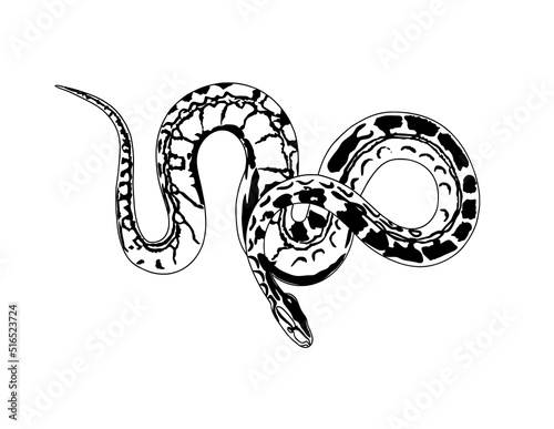 Snake