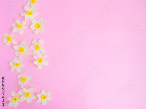gentle background with flowers of daffodils. Template for greeting card, invitation.copy space © Максим