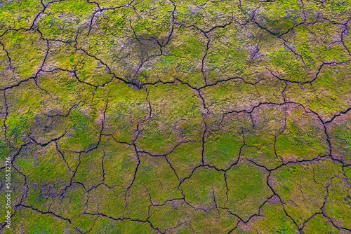 Nature background of cracked dry lands. Natural texture of soil with cracks. Climate change, drought concept