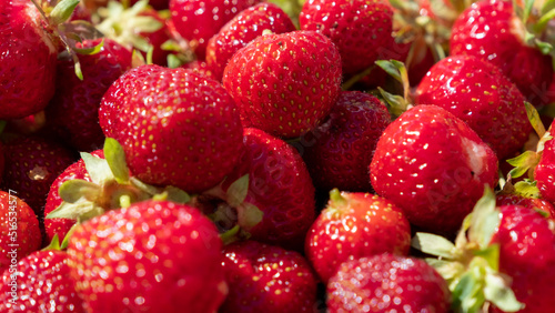 Juicy  fresh red ripe strawberries picked in a box. July is the beginning of summer
