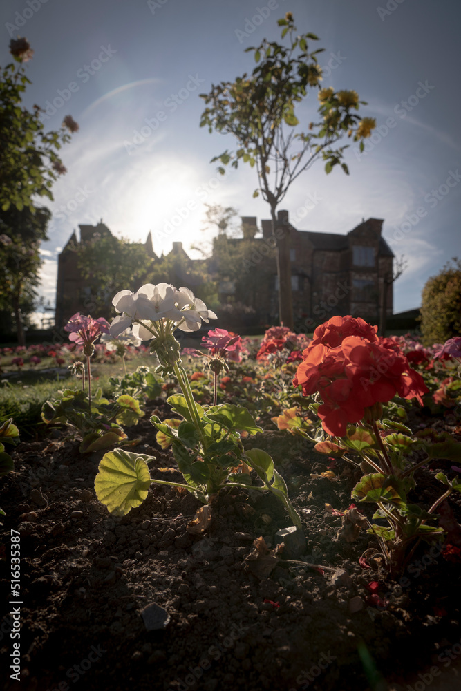 Φωτογραφία Shallow focus view of English flowers and an old manor house in bright sunshine