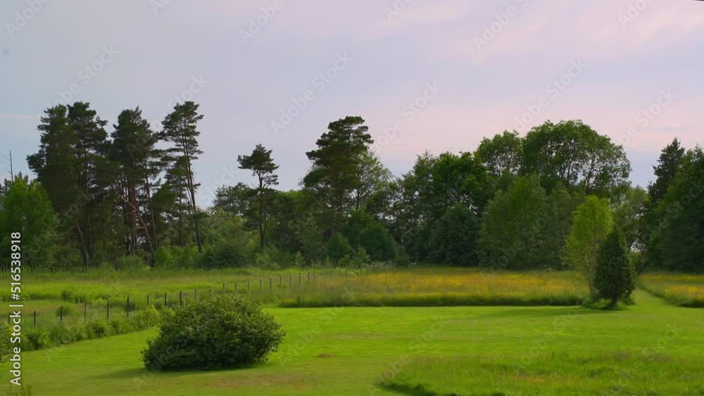 Slow calm timelapse in a beautiful garden next to a forest. Slow calm timelapse in a beautiful garden next to a forest.
