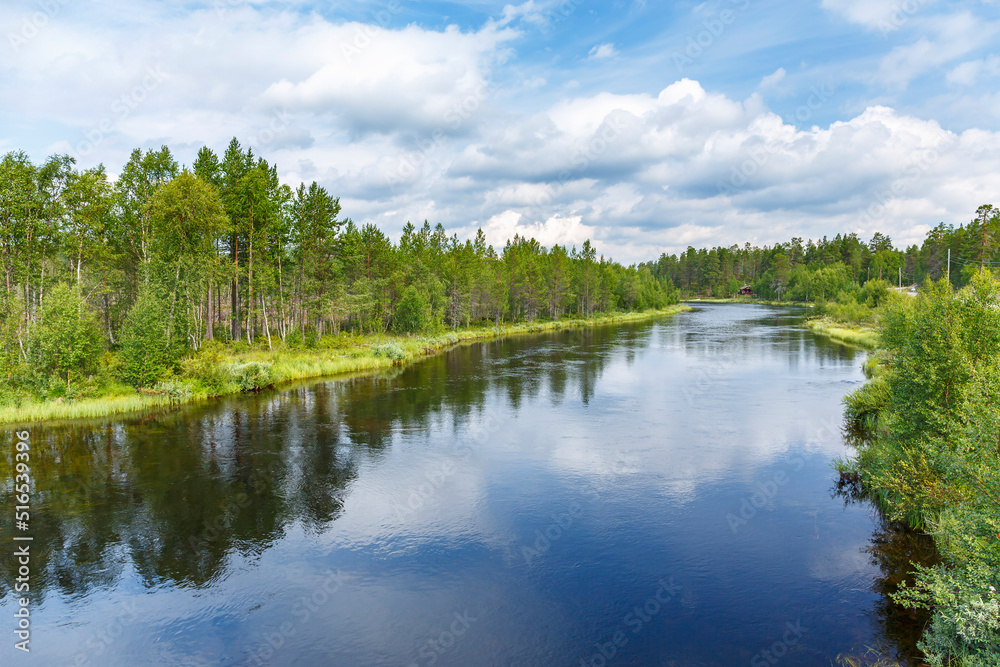 Fototapeta premium River flowing through a beautiful forest landscape