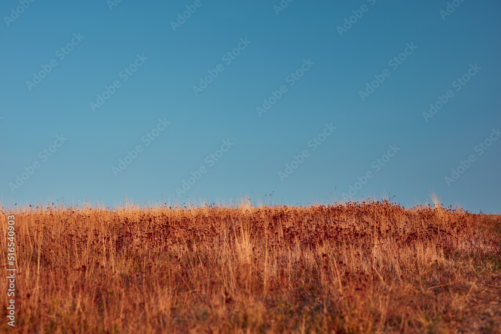 Obraz premium View of countryside hilly landscape in autumn colors.