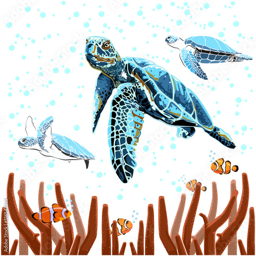 graphic sea turtle,vector illustration of sea turtle,vector of turtle design on a white background,save a turtle.