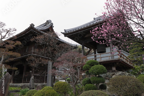 正龍寺　仁王門　鐘楼　埼玉県　寄居町