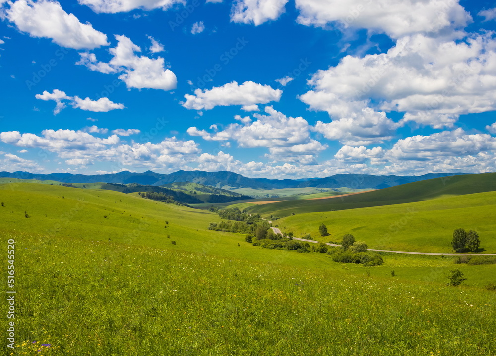 Summer foothill landscape. Green meadow and blue sky with clouds. Altai.