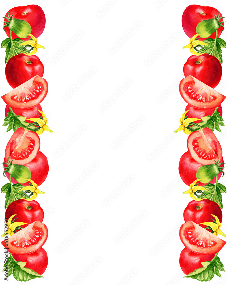 watercolour illustration with tomatos, leaves, flowers, spase for text with red vegetables, hand drawn sketch