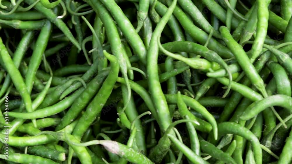 fresh organic green chilli from farm close up from different angle
