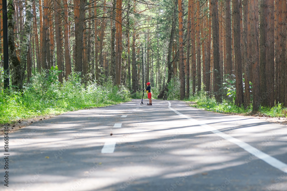 a boy stands in the forest with a scooter a boy stands in the forest with a scooter