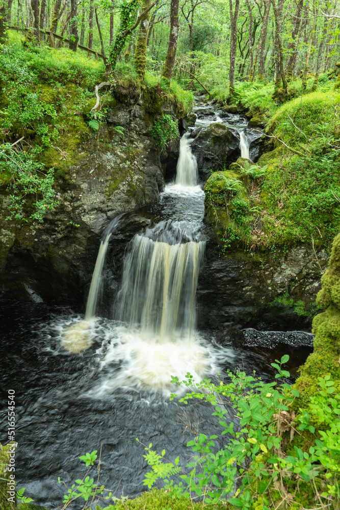 Fototapeta premium Waterfall in Wood of Cree, Dumfries & Galloway, Scotland