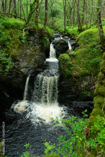 Fototapeta Naklejka Na Ścianę i Meble -  Waterfall in Wood of Cree, Dumfries & Galloway, Scotland