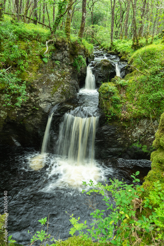 Fototapeta Naklejka Na Ścianę i Meble -  Waterfall in Wood of Cree, Dumfries & Galloway, Scotland