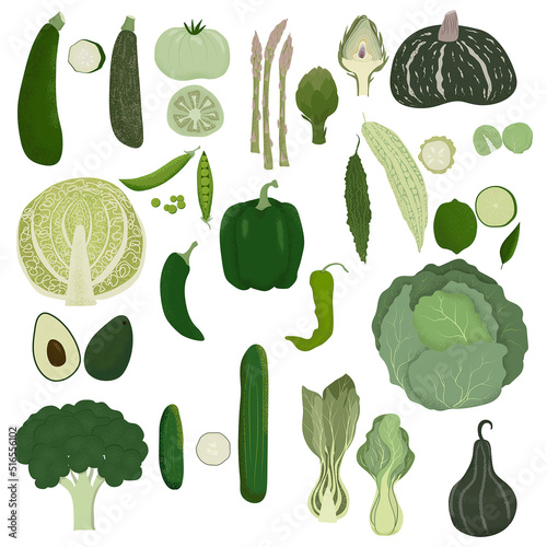 Vector green vegetables set. Hand drawn illustration with textures. Collection of farm products: zucchini, green tomato, asparagus, artichoke, pumpkin, cucumber, pepper, cabbage, bok choi, avocado