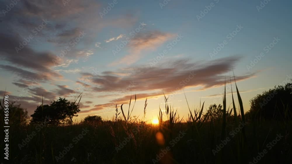Sundowning marking end of day at Handewitter forest germany time lapse. Sundowning marking end of day at Handewitter forest germany time lapse.
