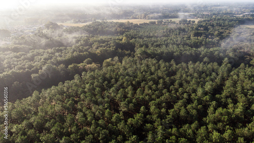 Vue A  rienne de foret 