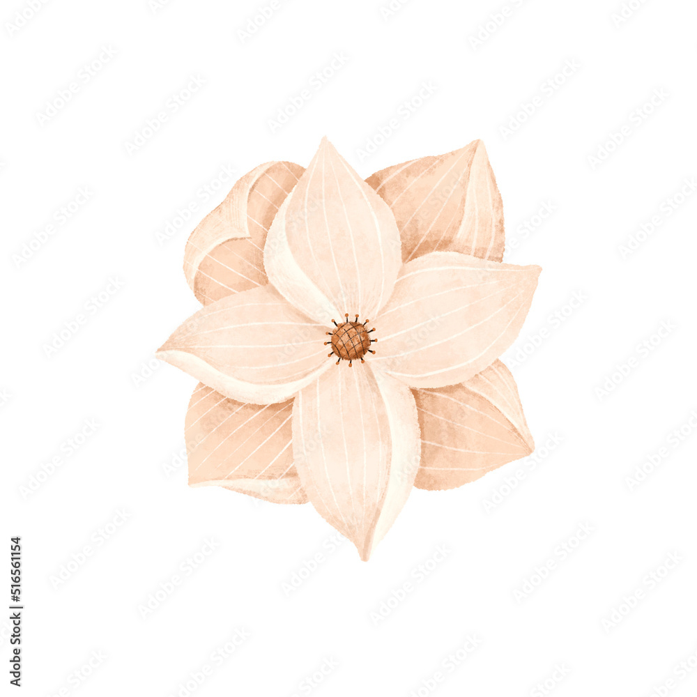 cute cartoon flower, botanical hand painted illustration. Print and design