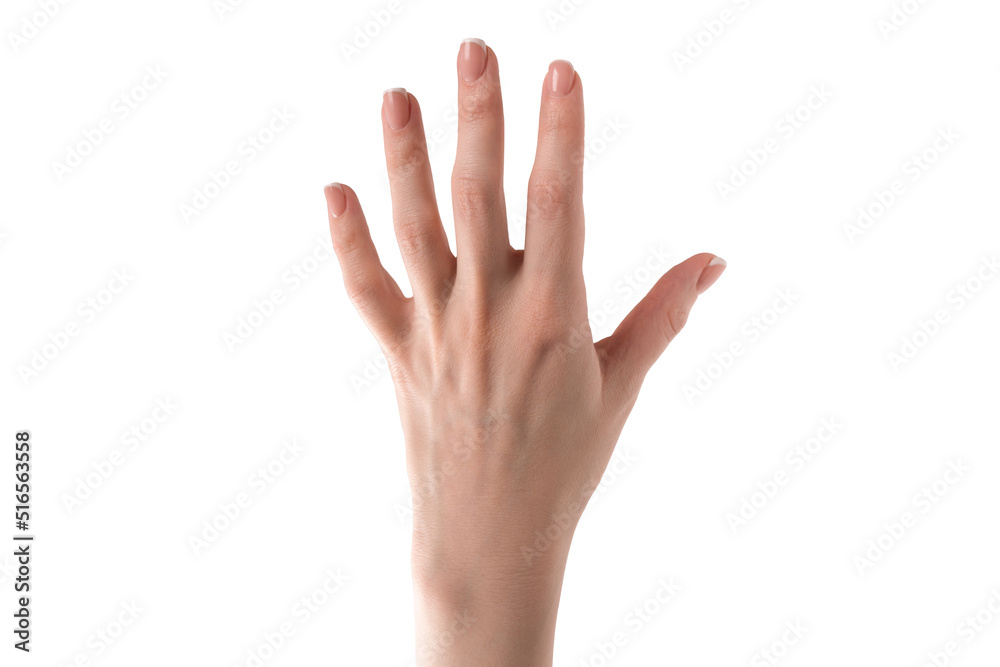 Woman hands with french manicure isolated on white bacckground. Woman hands with french manicure isolated on white bacckground.