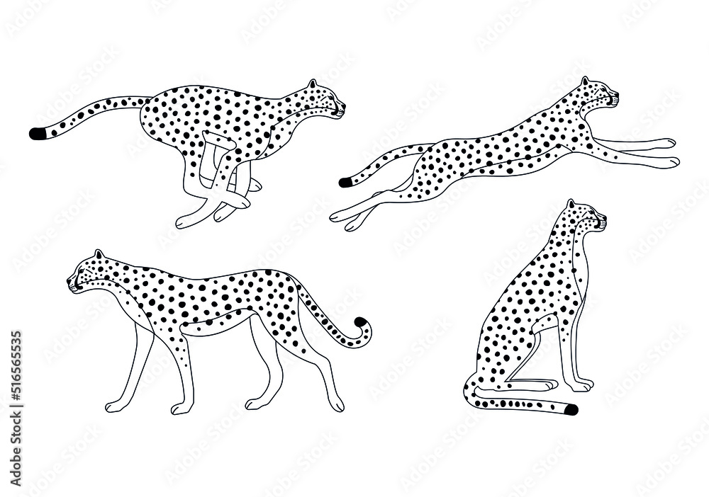 Vector set of outline cheetah isolated on white background - obrazy, fototapety, plakaty 