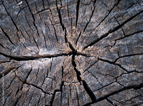 close up texture of cracked wood surface