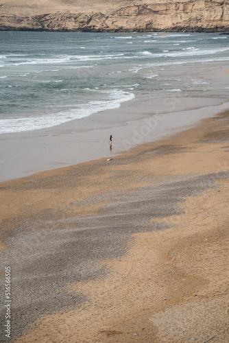 person walking on the beach