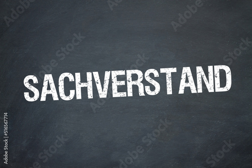 Sachverstand