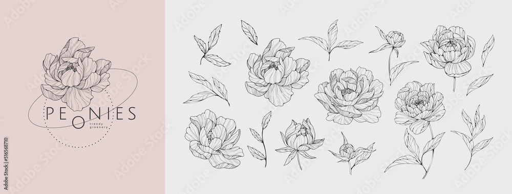 Naklejka Set of luxury flowers and logo. Trendy botanical elements. Hand drawn line leaves branches and blooming. Wedding elegant wildflowers for invitation save the date card. Vector
