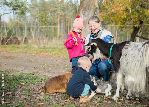 happy family - mother and children feed unusual domestic animals in the yard of the farm photo